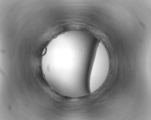 X0000091340759200708101019