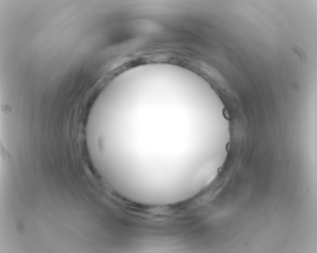 X0000091340761200708101019