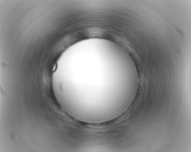 X0000091340763200708101019