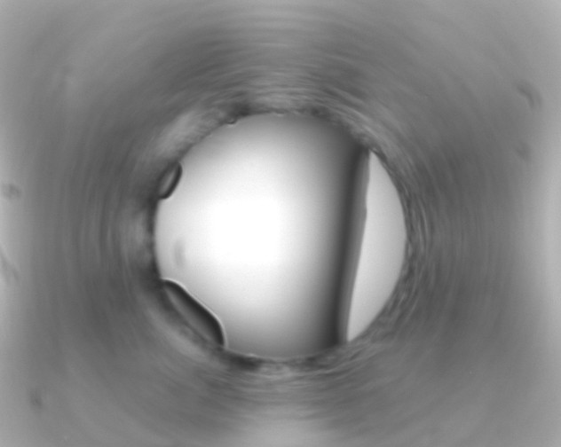 X0000091340764200708101019
