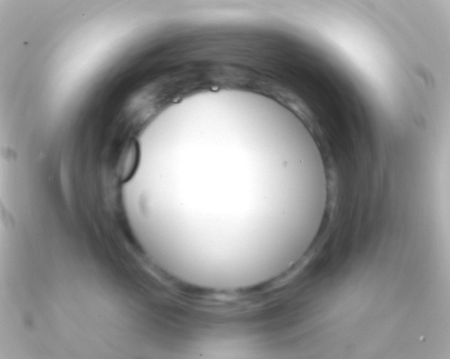 X0000091340765200708101019
