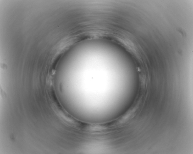X0000091340766200708101019