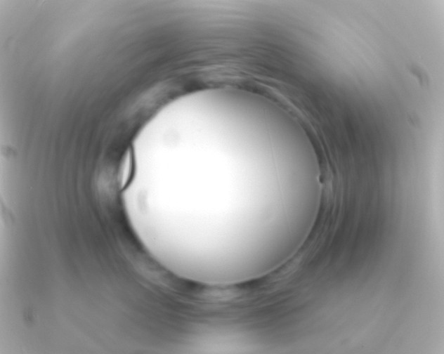 X0000091340767200708101019