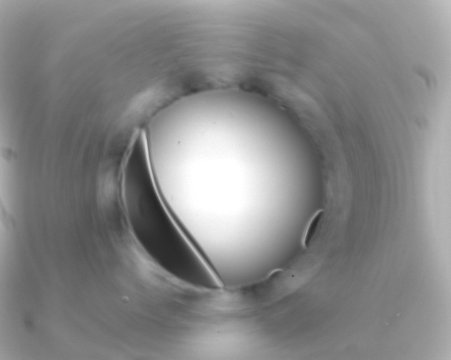 X0000091340768200708101019