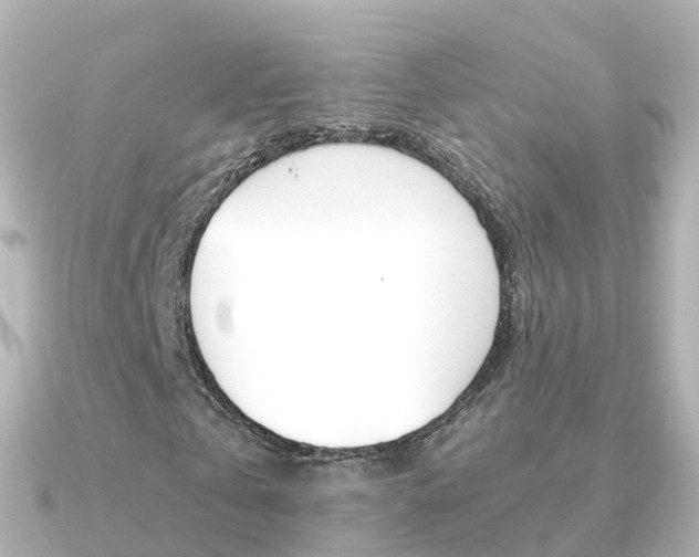 X0000091340769200708101019