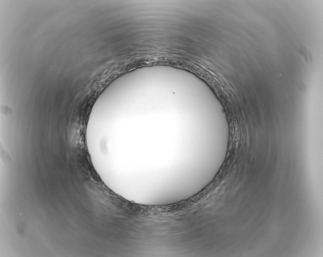 X0000091340770200708101019