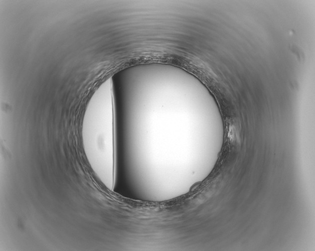 X0000091340771200708101019