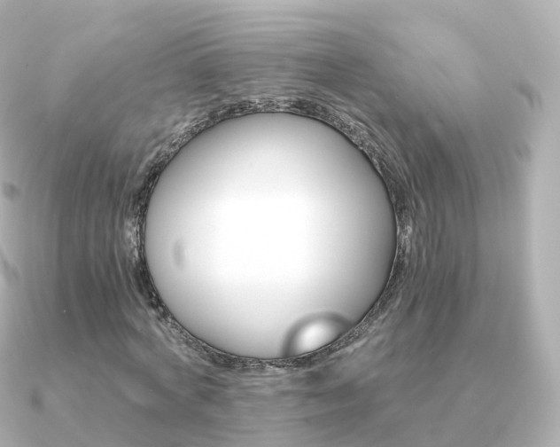X0000091340772200708101019