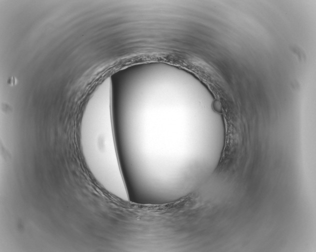X0000091340773200708101019