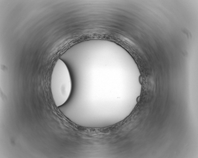 X0000091340774200708101018