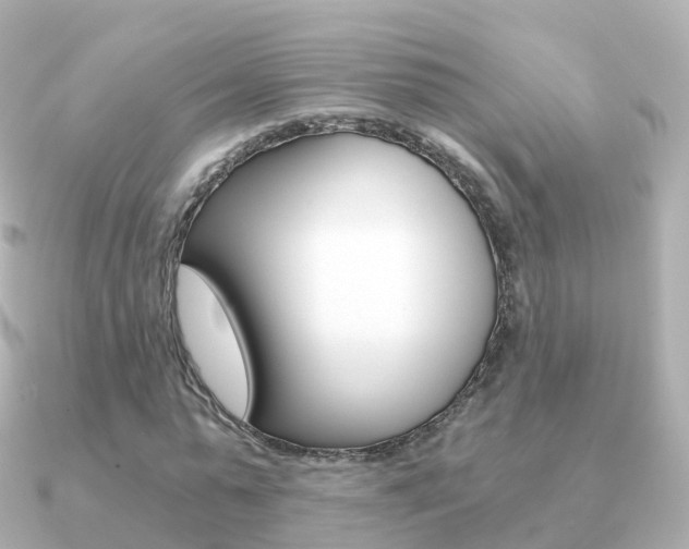 X0000091340775200708101018