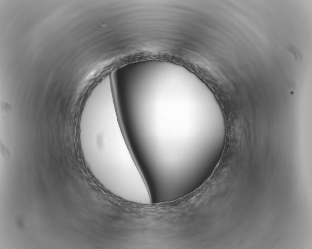 X0000091340776200708101018