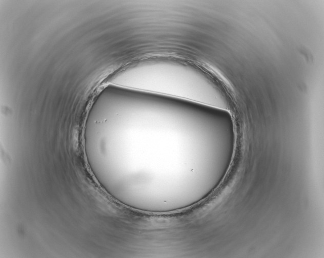 X0000091340777200708101018