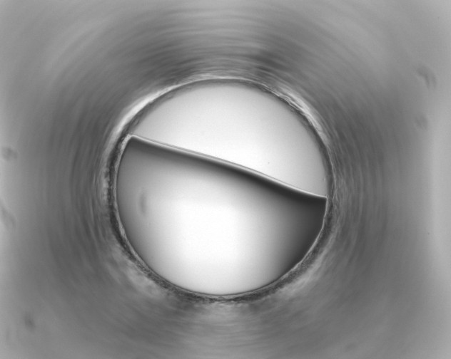 X0000091340779200708101018