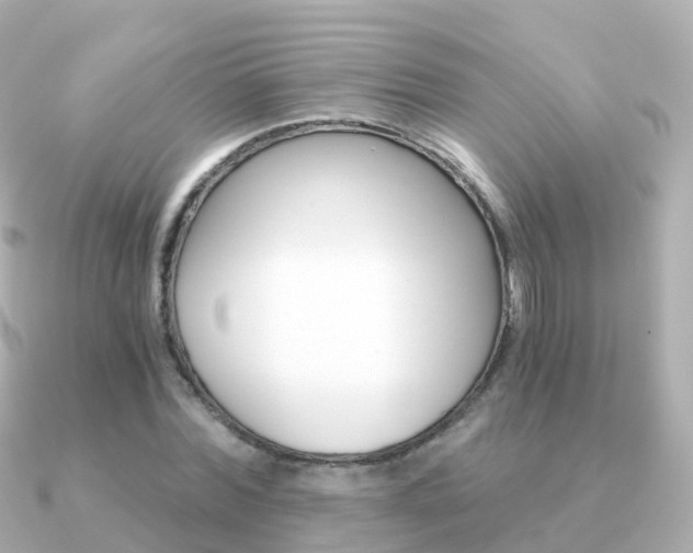 X0000091340780200708101018