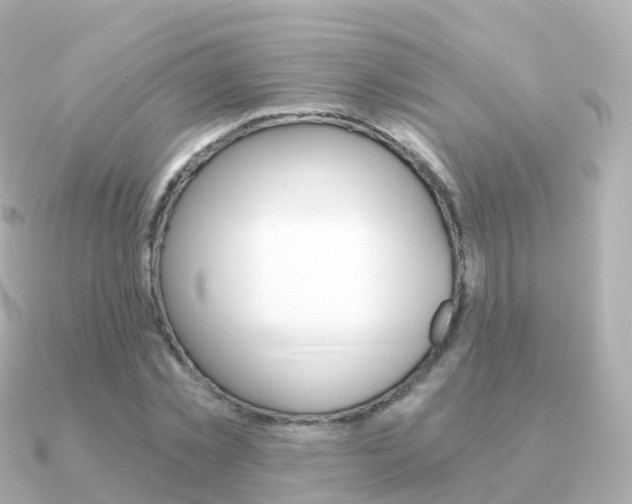 X0000091340781200708101018