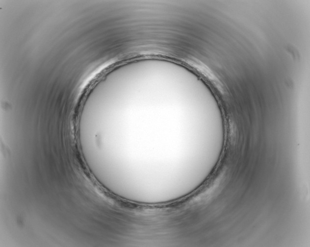 X0000091340782200708101018