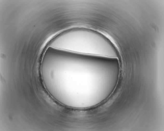 X0000091340783200708101018