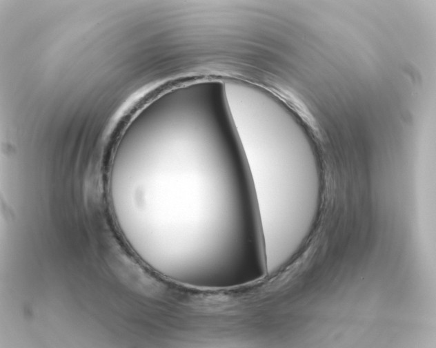 X0000091340784200708101018