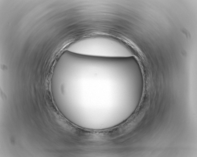 X0000091340785200708101018