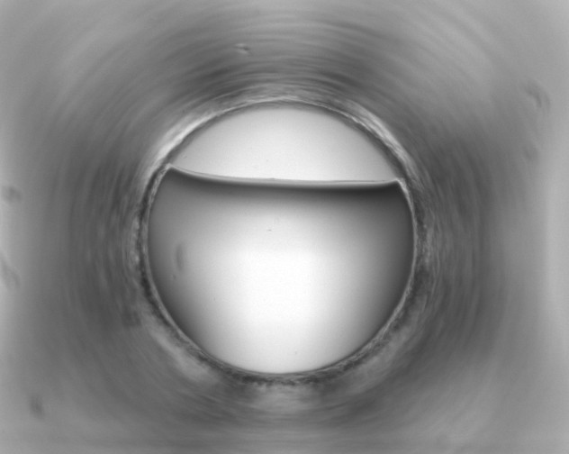 X0000091340786200708101018