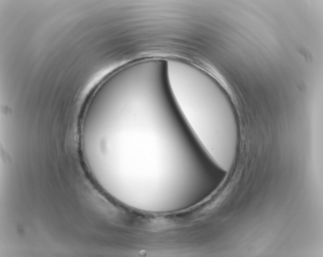 X0000091340787200708101018