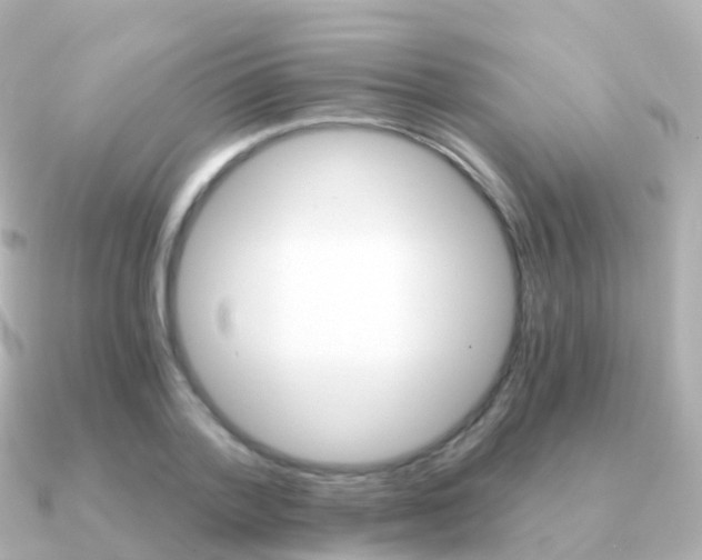 X0000091340788200708101018