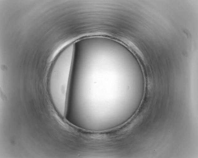 X0000091340789200708101018