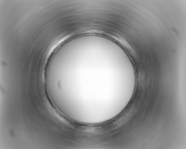 X0000091340790200708101018