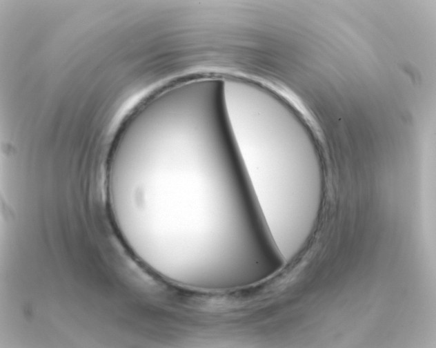 X0000091340791200708101018