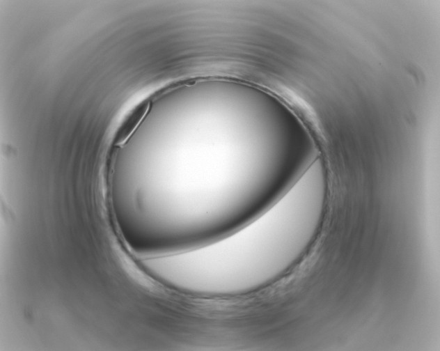 X0000091340792200708101018