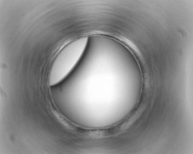 X0000091340793200708101018