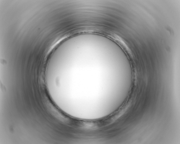 X0000091340794200708101018