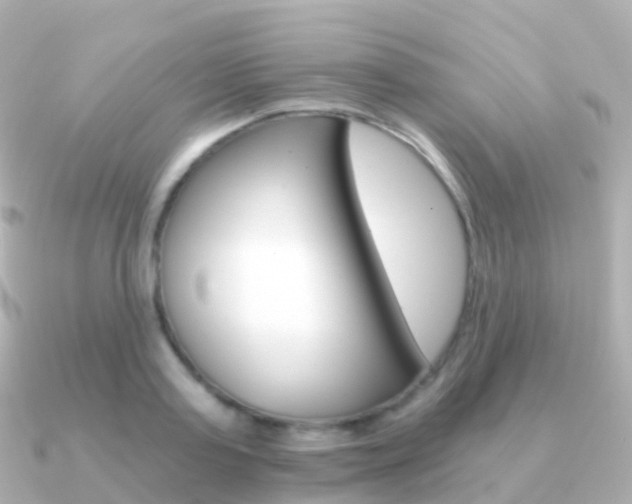 X0000091340795200708101018
