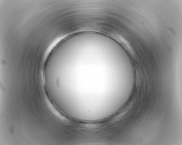 X0000091340796200708101018