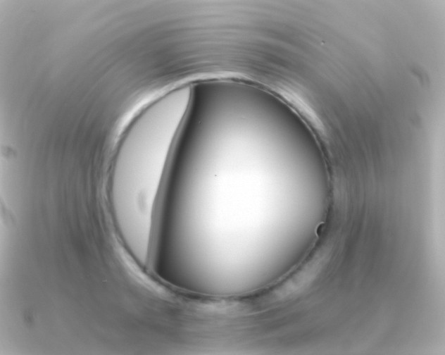 X0000091340797200708101018