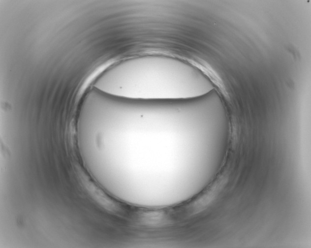 X0000091340798200708101018