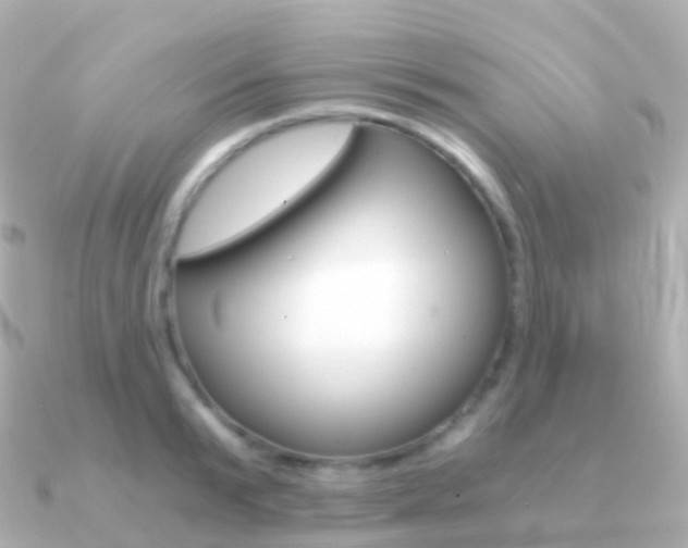 X0000091340799200708101018