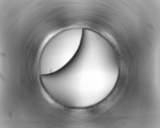 X0000091340800200708101018