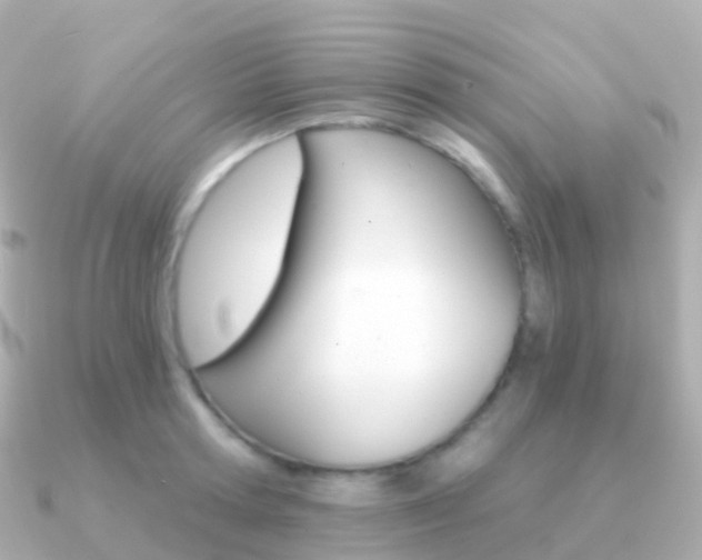 X0000091340802200708101018