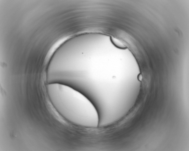 X0000091340804200708101018