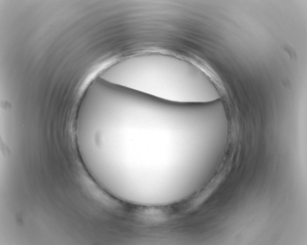 X0000091340806200708101018