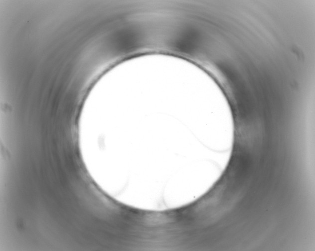 X0000091340807200708101018