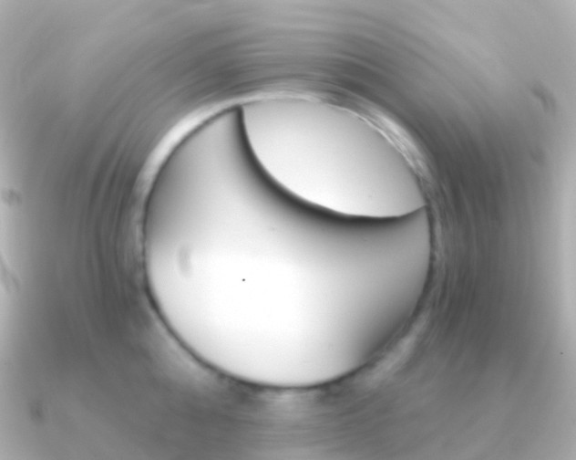 X0000091340808200708101018