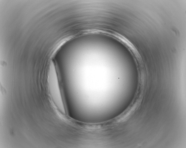 X0000091340809200708101018
