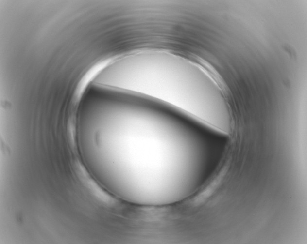X0000091340812200708101018