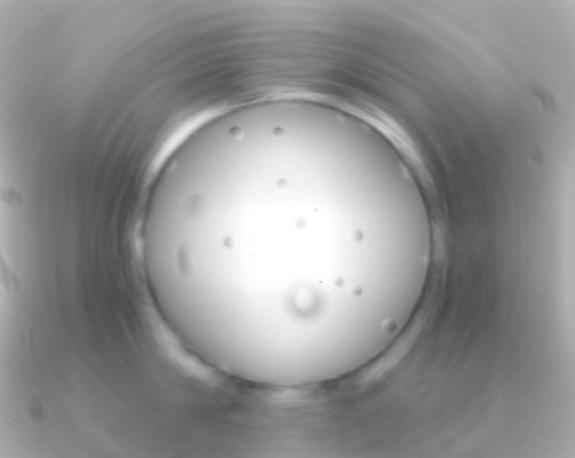 X0000091340814200708101018