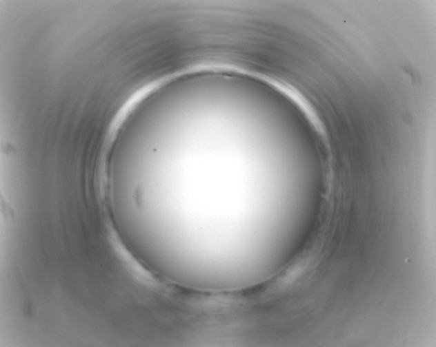 X0000091340815200708101018