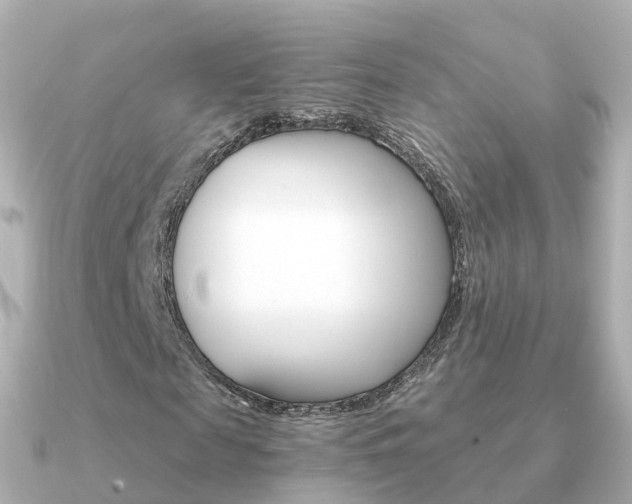 X0000091340817200708101017