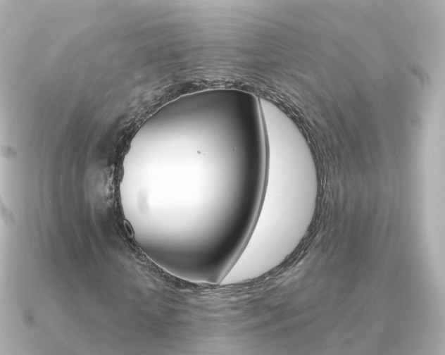 X0000091340818200708101017